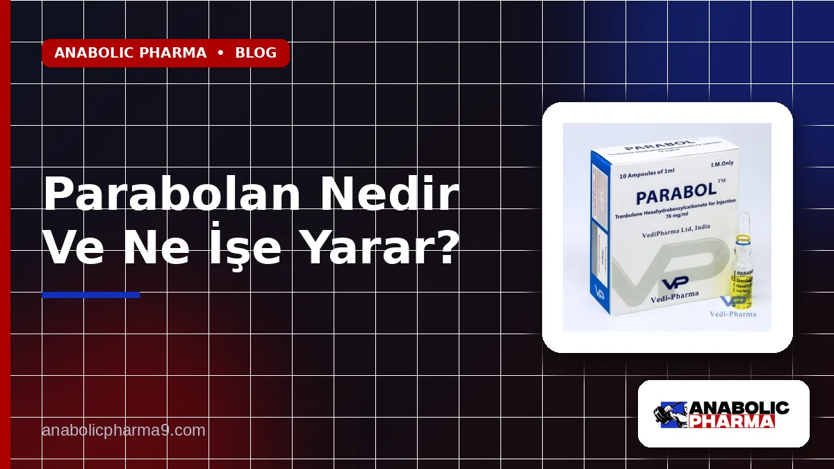 Parabolan Nedir Ve Ne İşe Yarar?