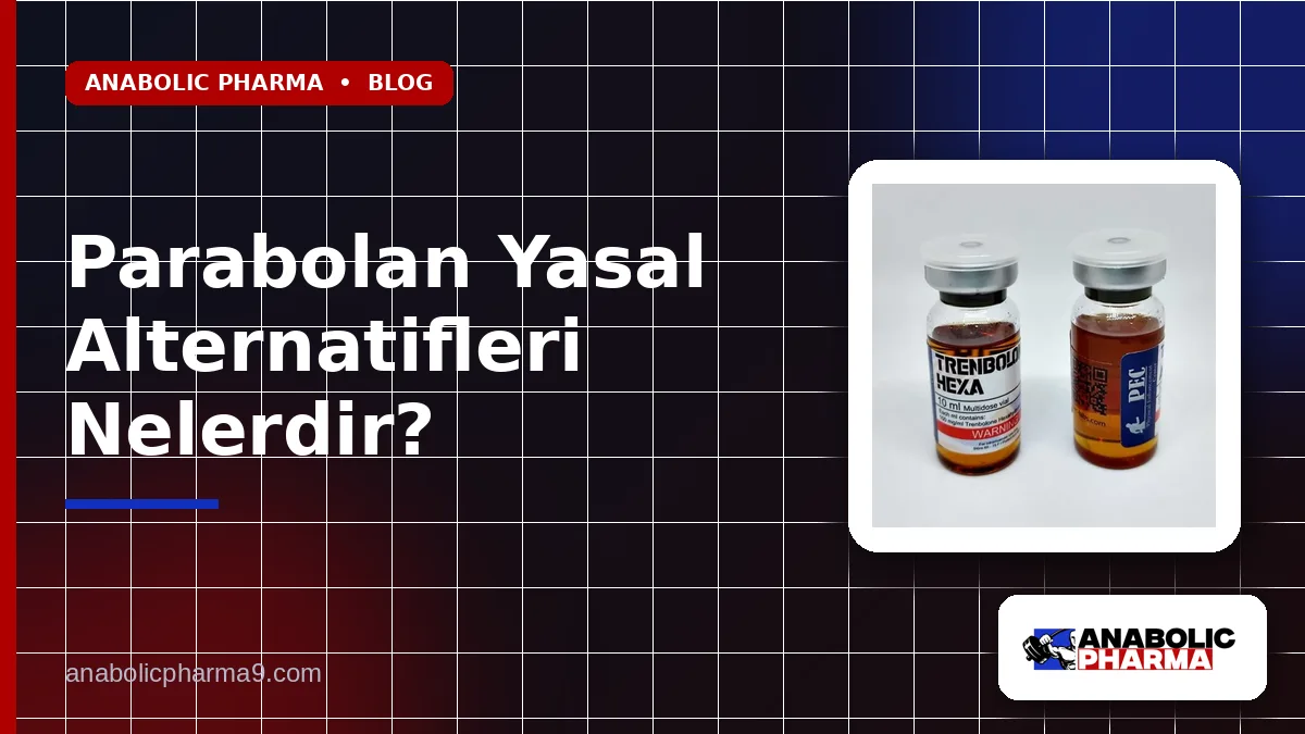 Parabolan Yasal Alternatifleri Nelerdir?