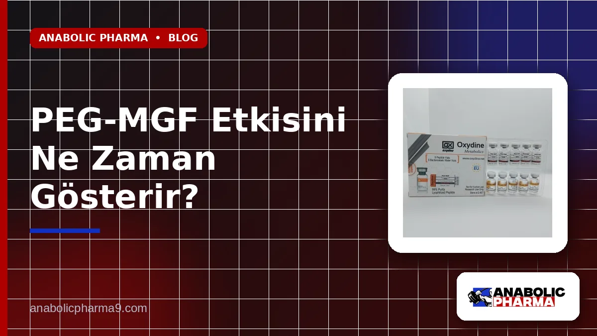 PEG-MGF Etkisini Ne Zaman Gösterir?
