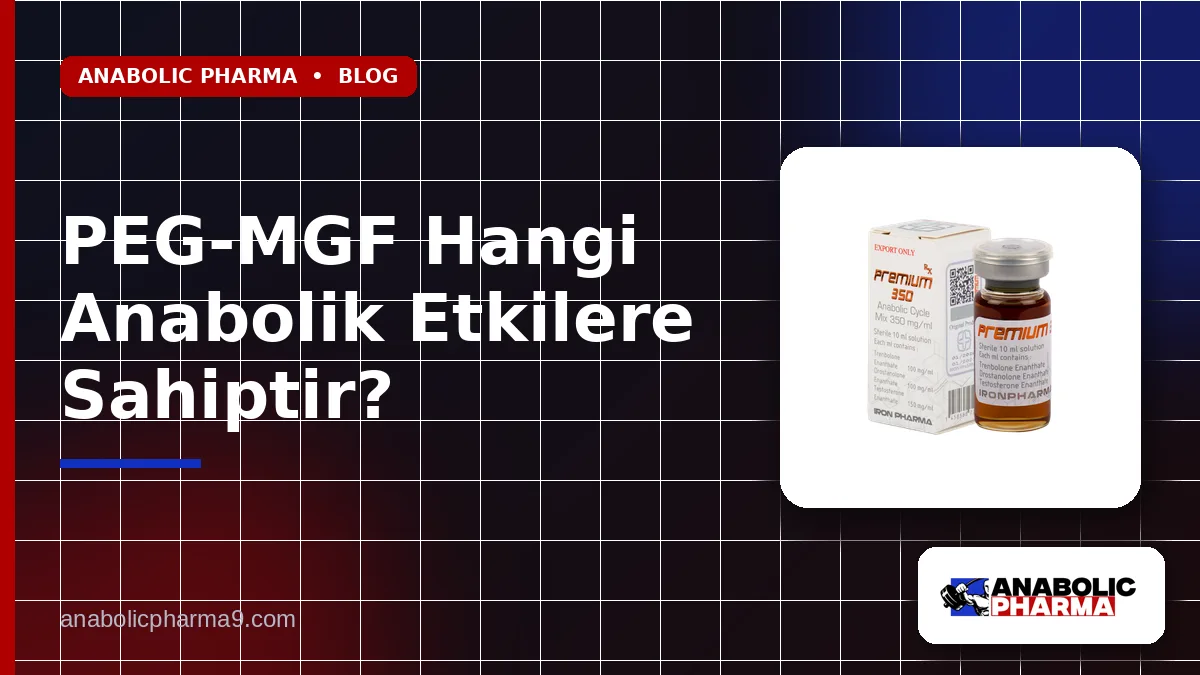 PEG-MGF Hangi Anabolik Etkilere Sahiptir?