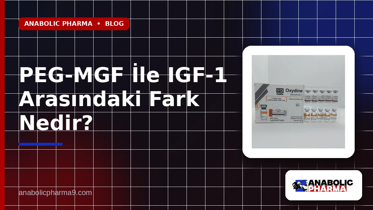 PEG-MGF İle IGF-1 Arasındaki Fark Nedir?