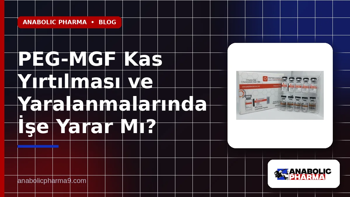 PEG-MGF Kas Yırtılması ve Yaralanmalarında İşe Yarar Mı?