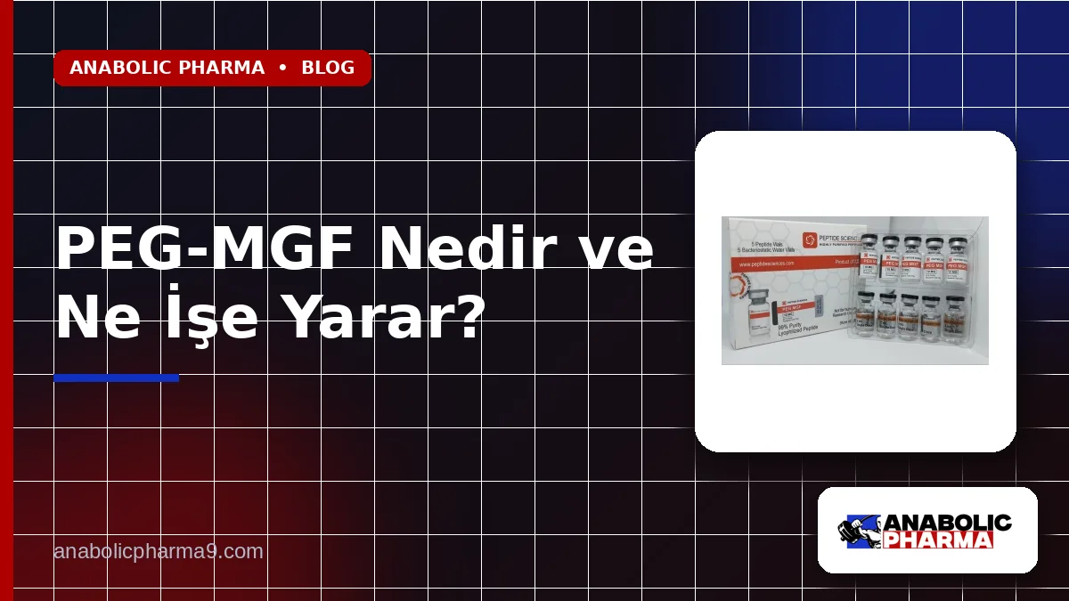 PEG-MGF Nedir ve Ne İşe Yarar?