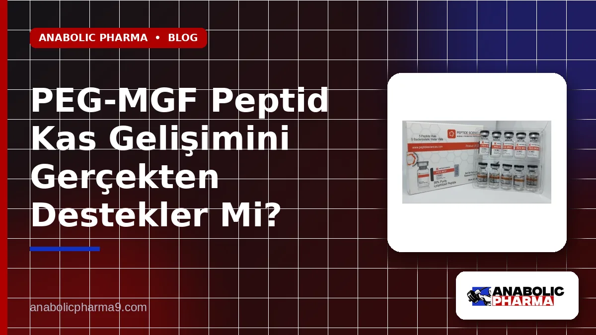 PEG-MGF Peptid Kas Gelişimini Gerçekten Destekler Mi?