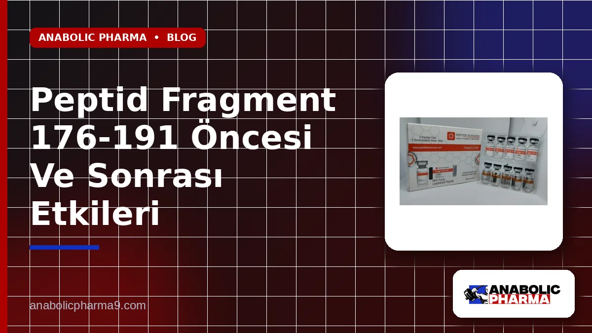 Peptid Fragment 176-191 Öncesi Ve Sonrası Etkileri