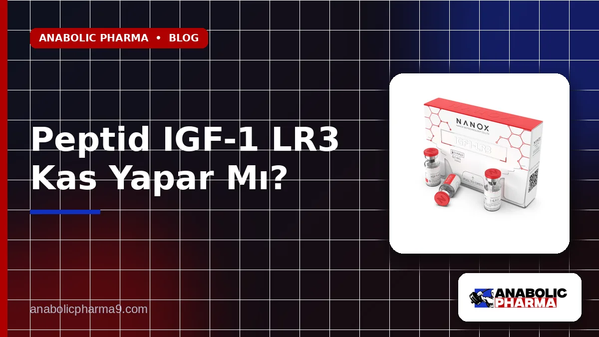 Peptid IGF-1 LR3 Kas Yapar Mı?