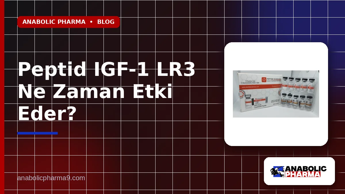Peptid IGF-1 LR3 Ne Zaman Etki Eder?