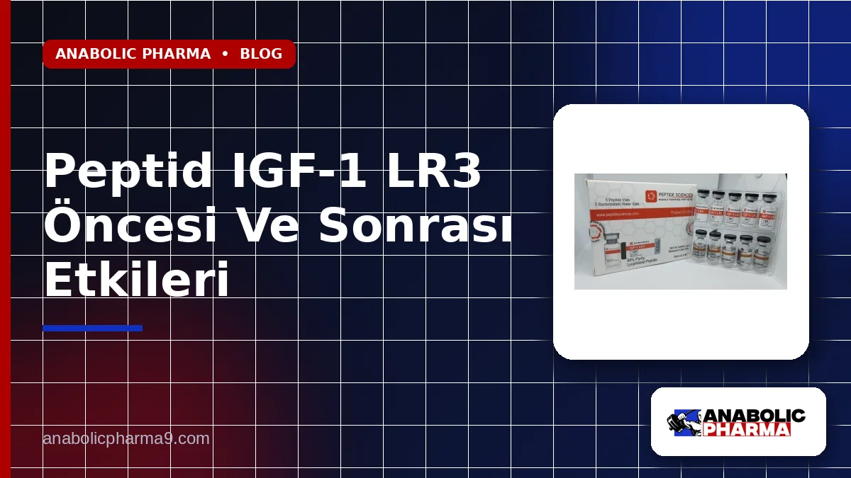 Peptid IGF-1 LR3 Öncesi Ve Sonrası Etkileri