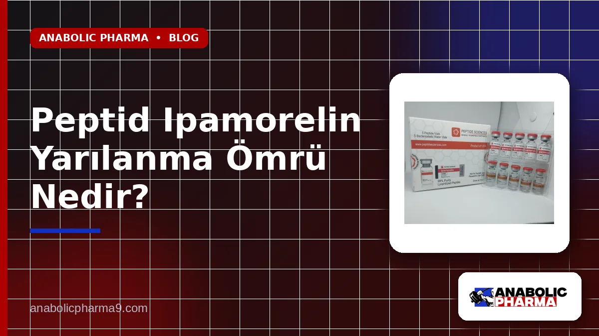 Peptid Ipamorelin Yarılanma Ömrü Nedir?