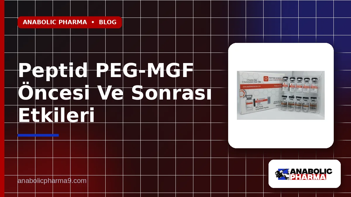 Peptid PEG-MGF Öncesi Ve Sonrası Etkileri