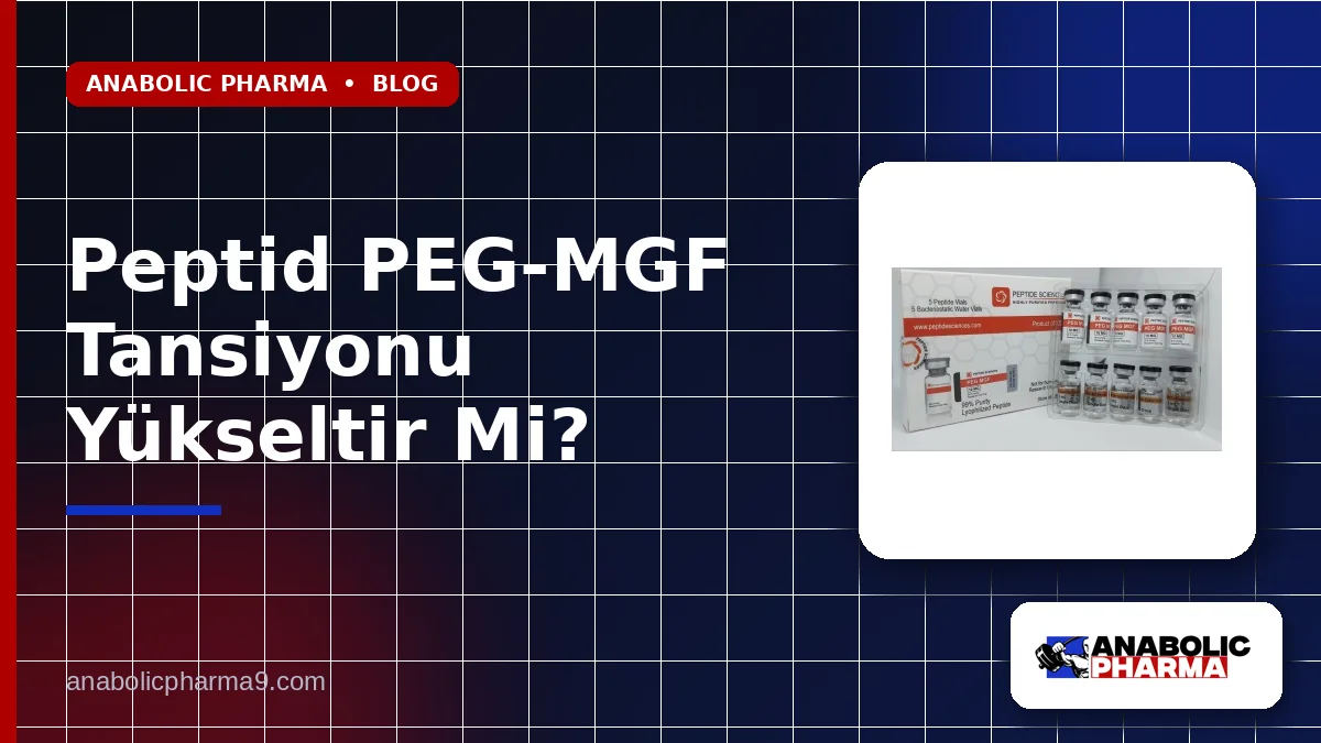 Peptid PEG-MGF Tansiyonu Yükseltir Mi?