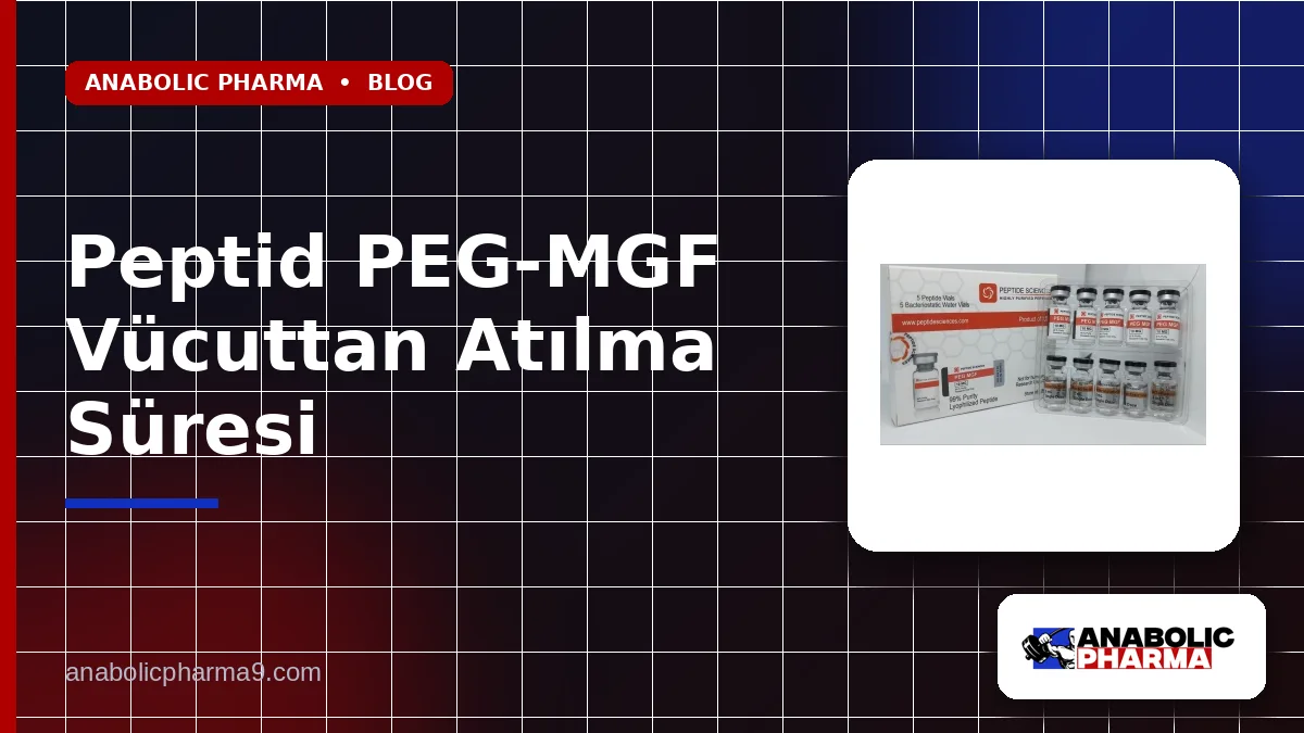 Peptid PEG-MGF Vücuttan Atılma Süresi