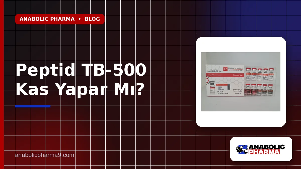 Peptid TB-500 Kas Yapar Mı?