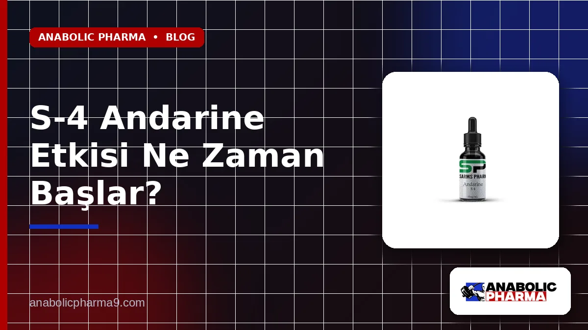 S-4 Andarine Etkisi Ne Zaman Başlar?