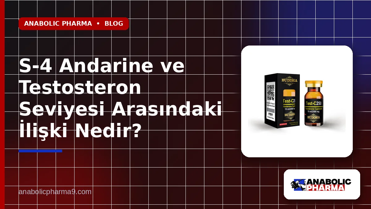 S-4 Andarine ve Testosteron Seviyesi Arasındaki İlişki Nedir?