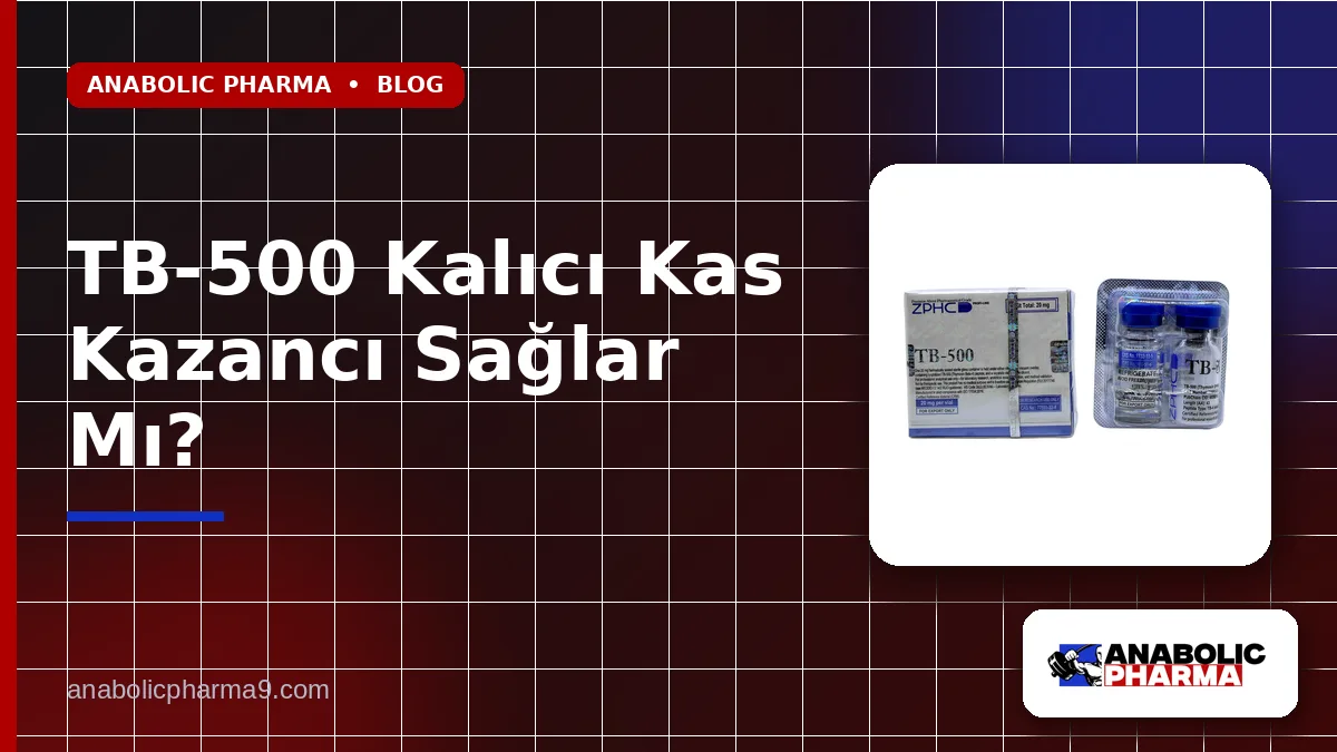 TB-500 Kalıcı Kas Kazancı Sağlar Mı?