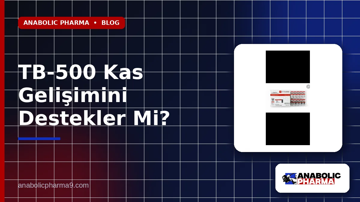 TB-500 Kas Gelişimini Destekler Mi?