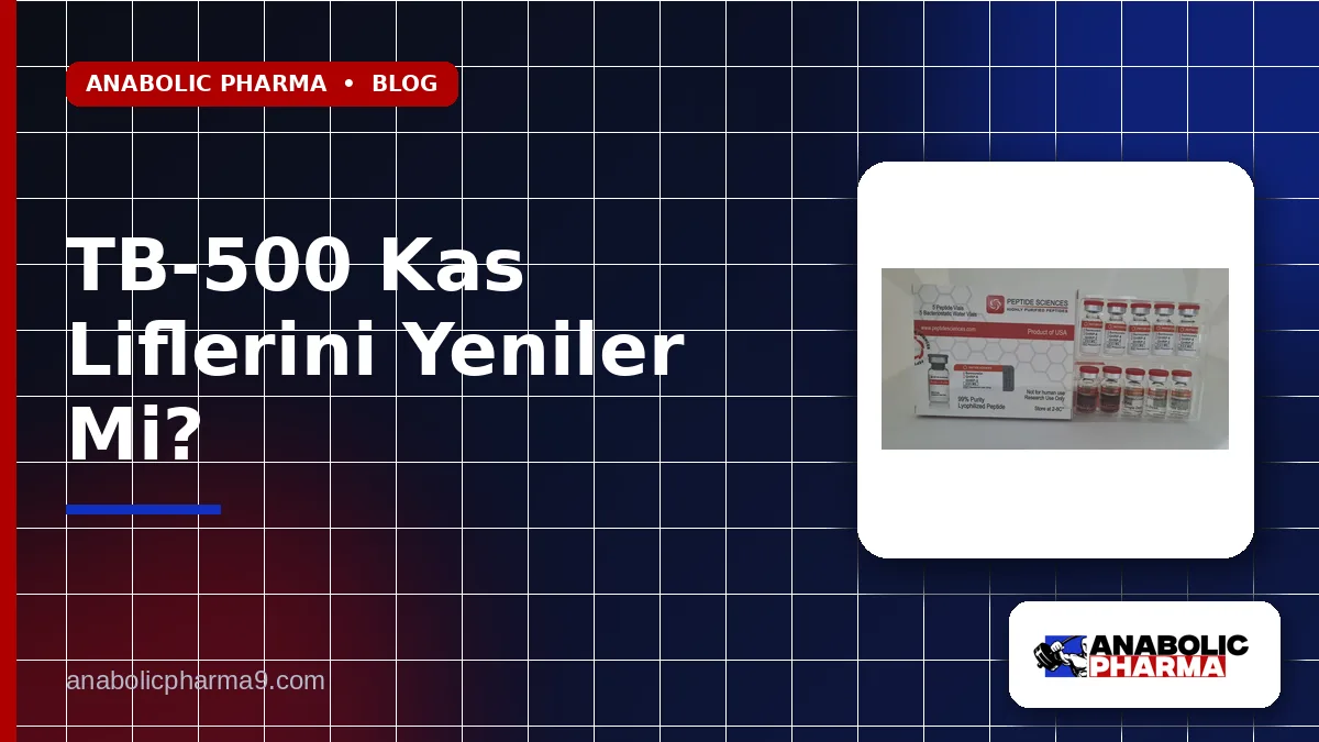 TB-500 Kas Liflerini Yeniler Mi?