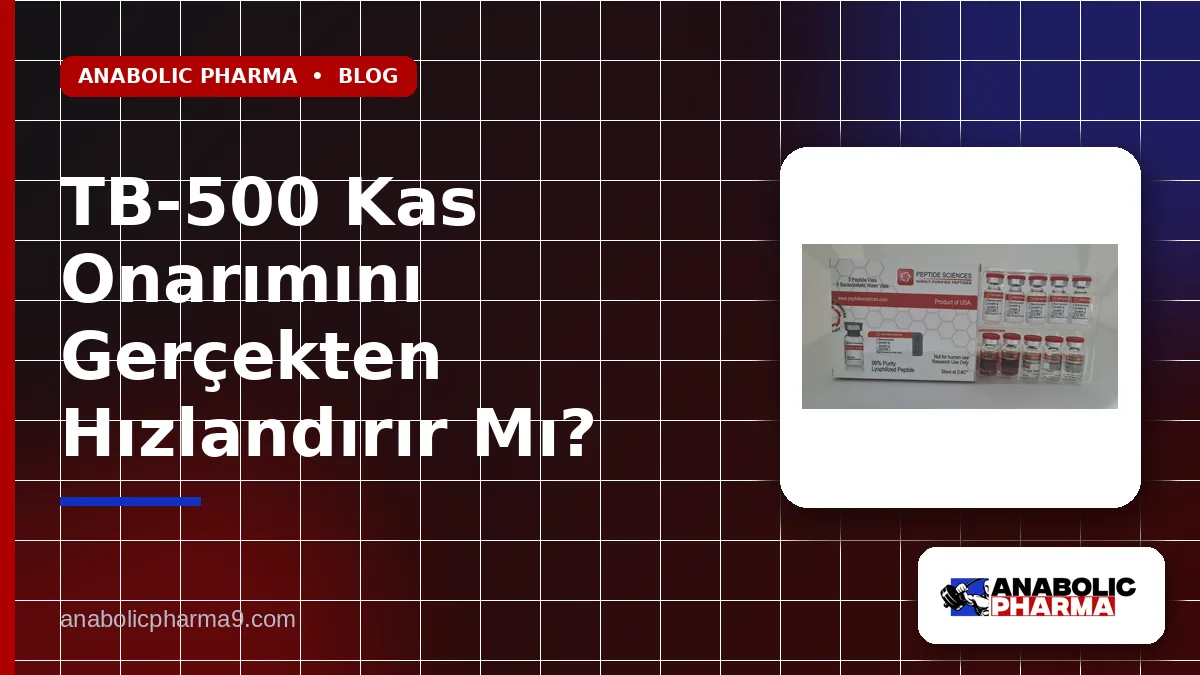 TB-500 Kas Onarımını Gerçekten Hızlandırır Mı?