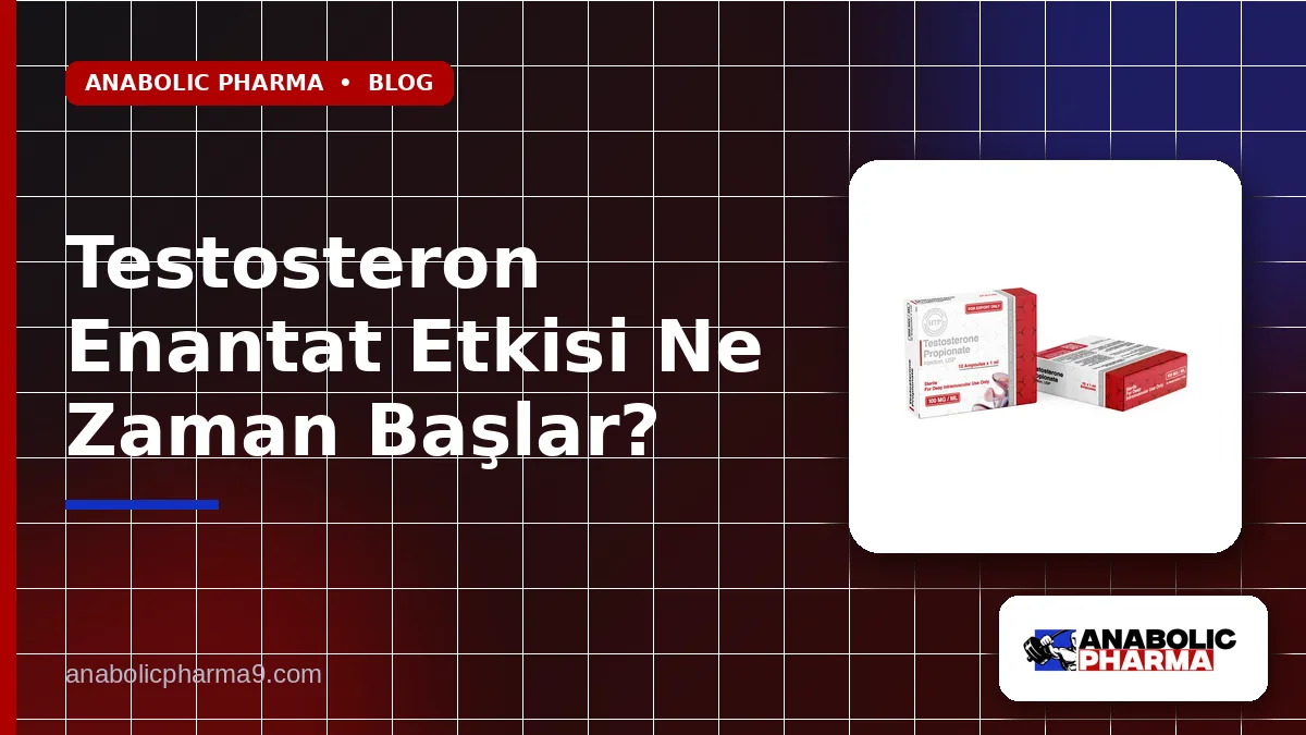 Testosteron Enantat Etkisi Ne Zaman Başlar?