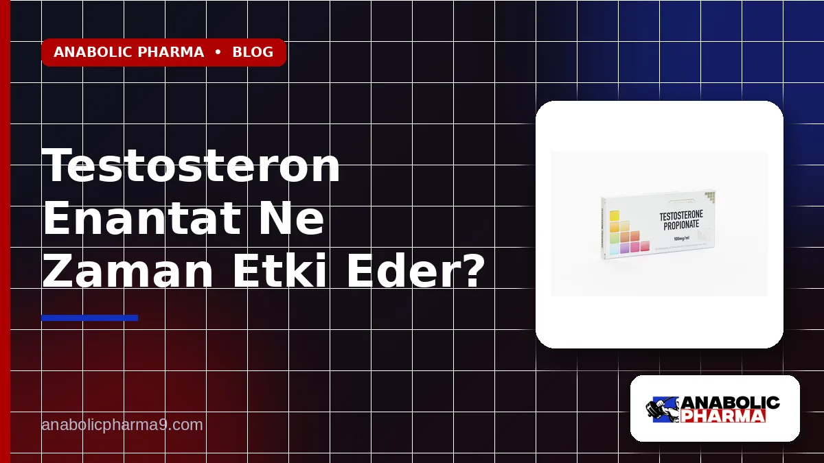 Testosteron Enantat Ne Zaman Etki Eder?