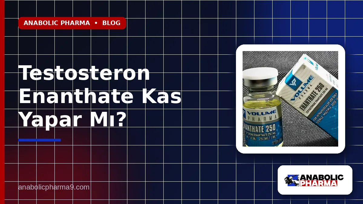 Testosteron Enanthate Kas Yapar Mı?