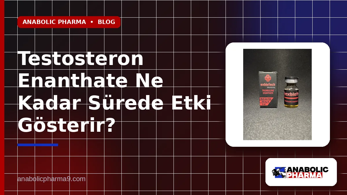 Testosteron Enanthate Ne Kadar Sürede Etki Gösterir? 1 Testosteron Enanthate Ne Kadar Sürede Etki Gösterir?