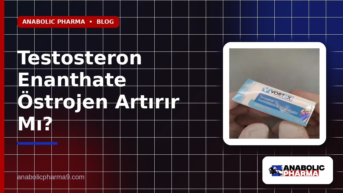 Testosteron Enanthate Östrojen Artırır Mı?