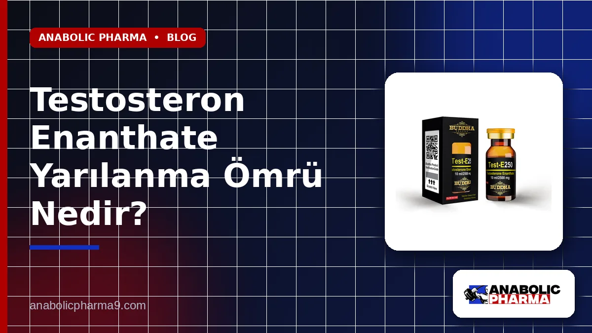 Testosteron Enanthate Yarılanma Ömrü Nedir?
