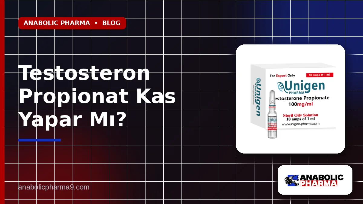 Testosteron Propionat Kas Yapar Mı?