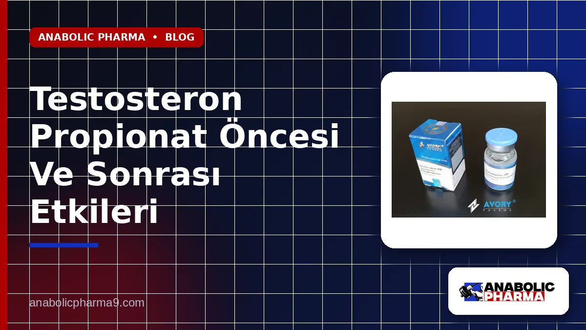 Testosteron Propionat Öncesi Ve Sonrası Etkileri