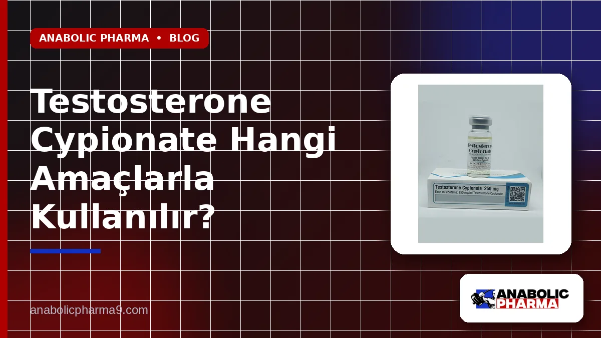 Testosterone Cypionate Hangi Amaçlarla Kullanılır? 1 Testosterone Cypionate Hangi Amaçlarla Kullanılır?