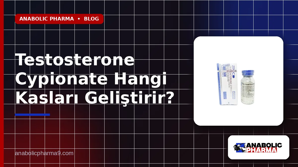 Testosterone Cypionate Hangi Kasları Geliştirir?