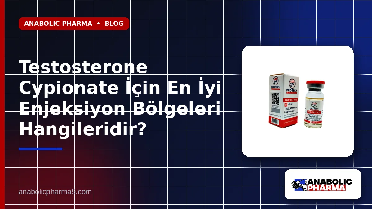 Testosterone Cypionate İçin En İyi Enjeksiyon Bölgeleri Hangileridir? 1 Testosterone Cypionate İçin En İyi Enjeksiyon Bölgeleri Hangileridir?