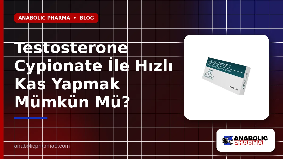 Testosterone Cypionate İle Hızlı Kas Yapmak Mümkün Mü? 1 Testosterone Cypionate İle Hızlı Kas Yapmak Mümkün Mü?