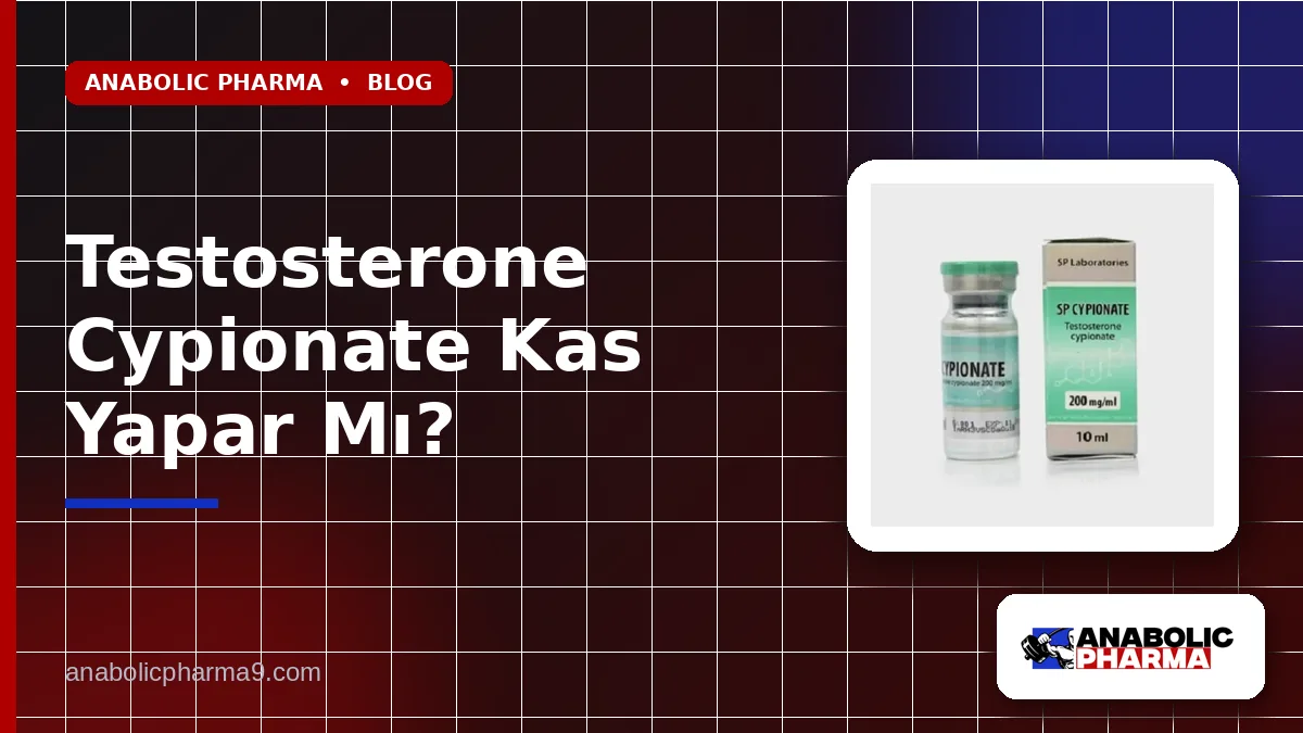 Testosterone Cypionate Kas Yapar Mı? 1 Testosterone Cypionate Kas Yapar Mı?