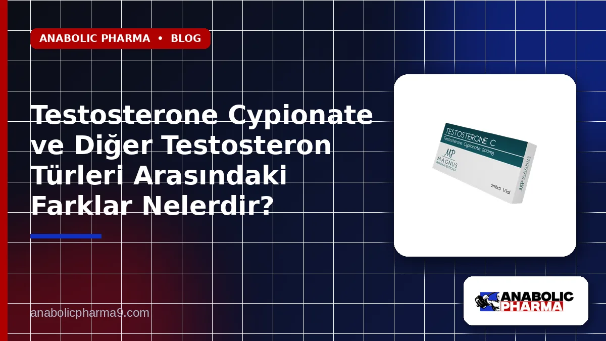Testosterone Cypionate ve Diğer Testosteron Türleri Arasındaki Farklar Nelerdir? 1 Testosterone Cypionate ve Diğer Testosteron Türleri Arasındaki Farklar Nelerdir?