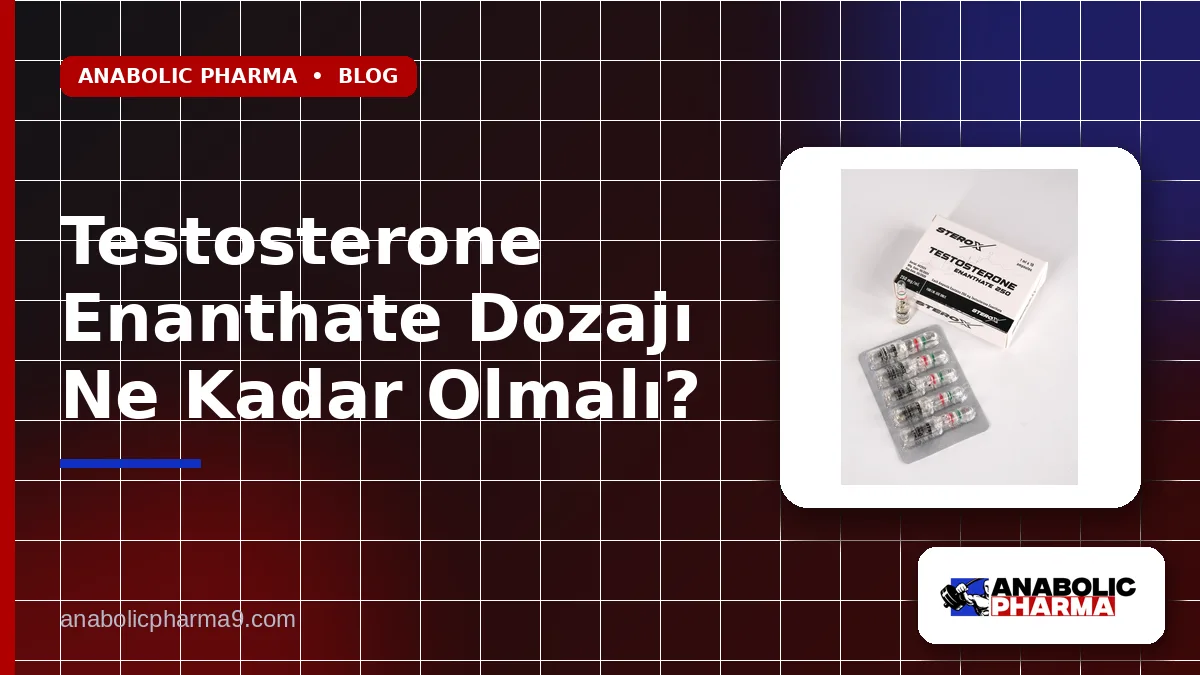 Testosterone Enanthate Dozajı Ne Kadar Olmalı? 1 Testosterone Enanthate Dozajı Ne Kadar Olmalı?