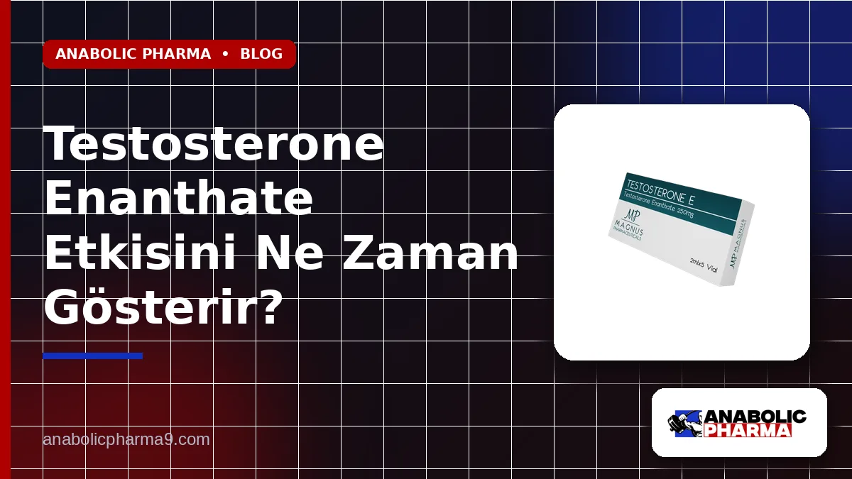 Testosterone Enanthate Etkisini Ne Zaman Gösterir?