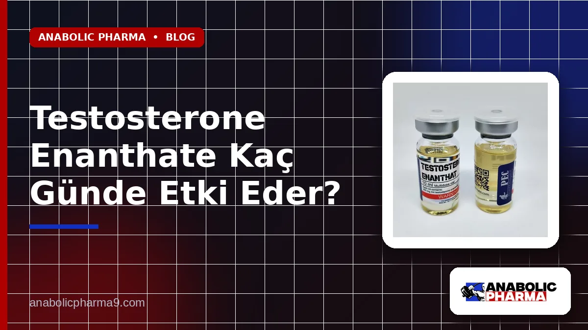 Testosterone Enanthate Kaç Günde Etki Eder?