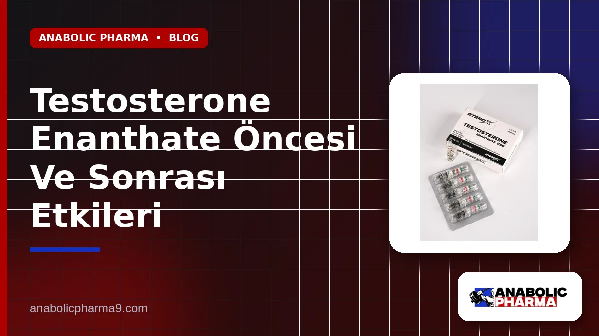 Testosterone Enanthate Öncesi Ve Sonrası Etkileri