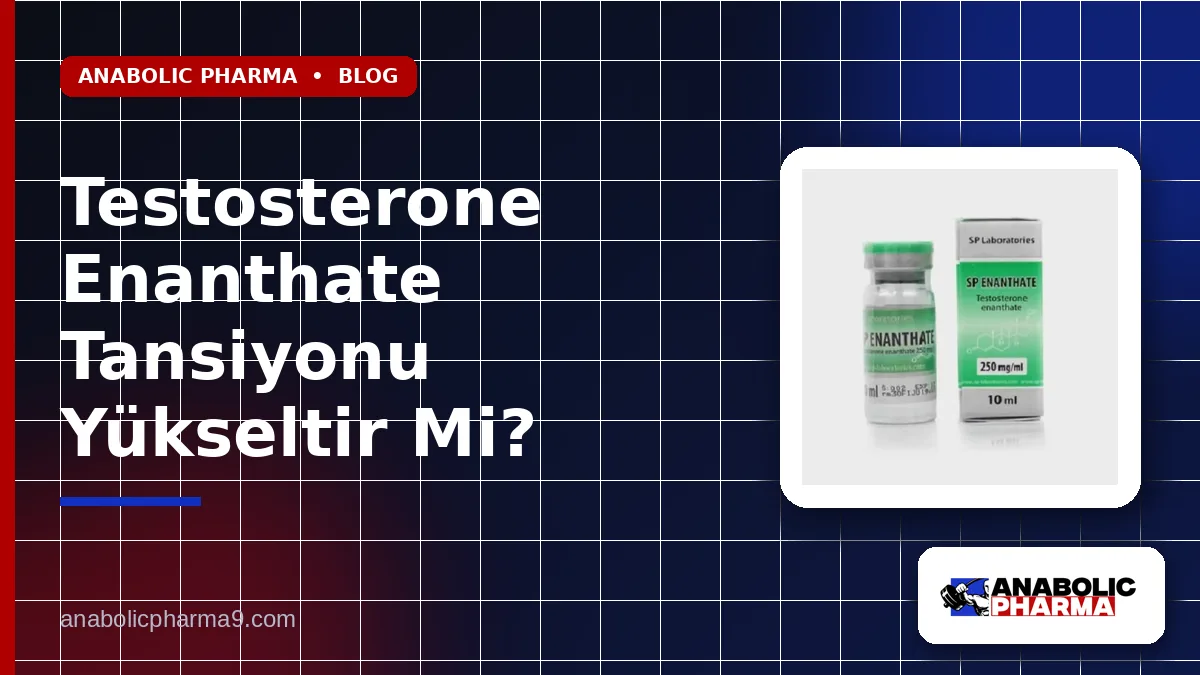 Testosterone Enanthate Tansiyonu Yükseltir Mi?