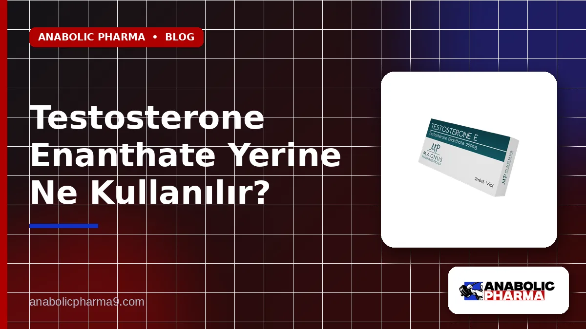 Testosterone Enanthate Yerine Ne Kullanılır?