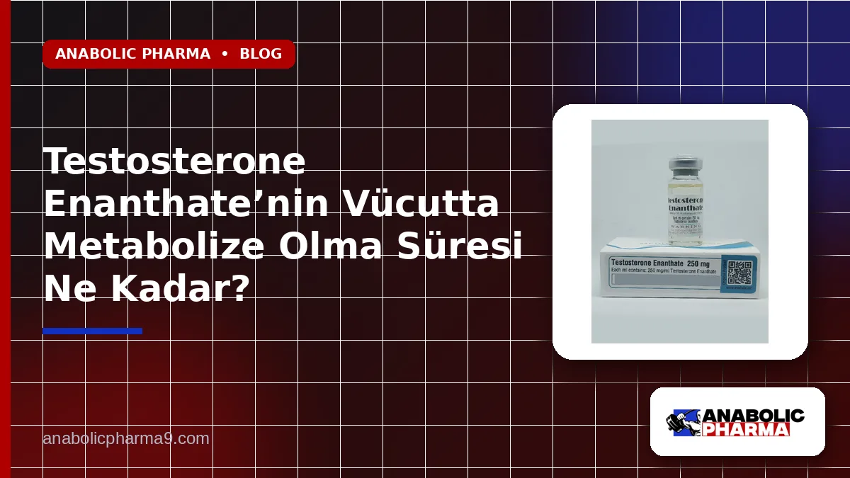Testosterone Enanthate’nin Vücutta Metabolize Olma Süresi Ne Kadar? 1 Testosterone Enanthate’nin Vücutta Metabolize Olma Süresi Ne Kadar?