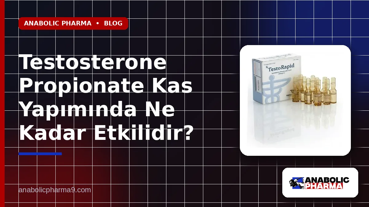 Testosterone Propionate Kas Yapımında Ne Kadar Etkilidir?