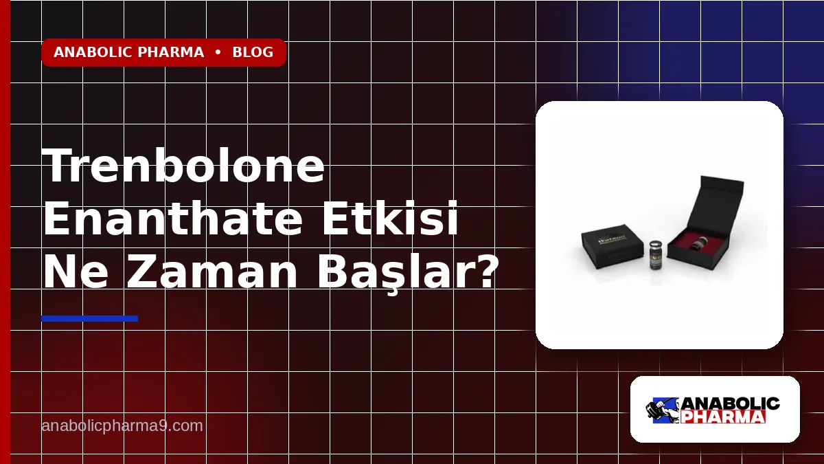 Trenbolone Enanthate Etkisi Ne Zaman Başlar?