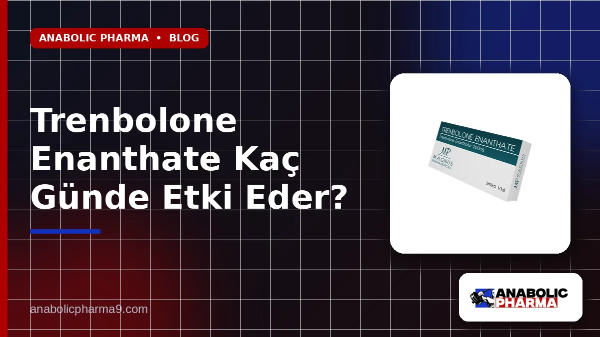 Trenbolone Enanthate Kaç Günde Etki Eder?
