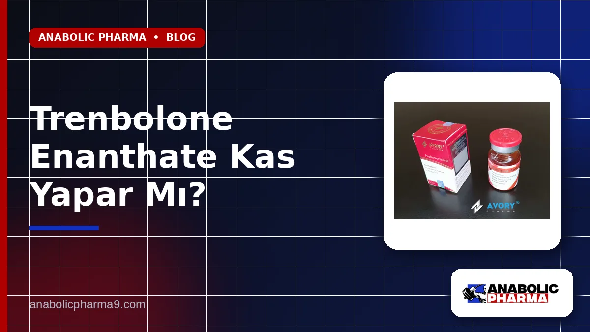 Trenbolone Enanthate Kas Yapar Mı?
