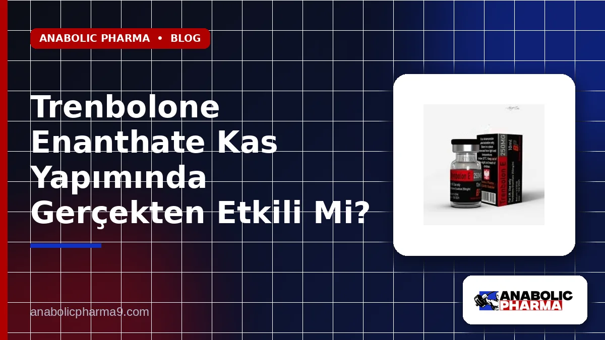 Trenbolone Enanthate Kas Yapımında Gerçekten Etkili Mi?