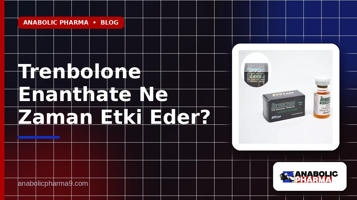 Trenbolone Enanthate Ne Zaman Etki Eder?